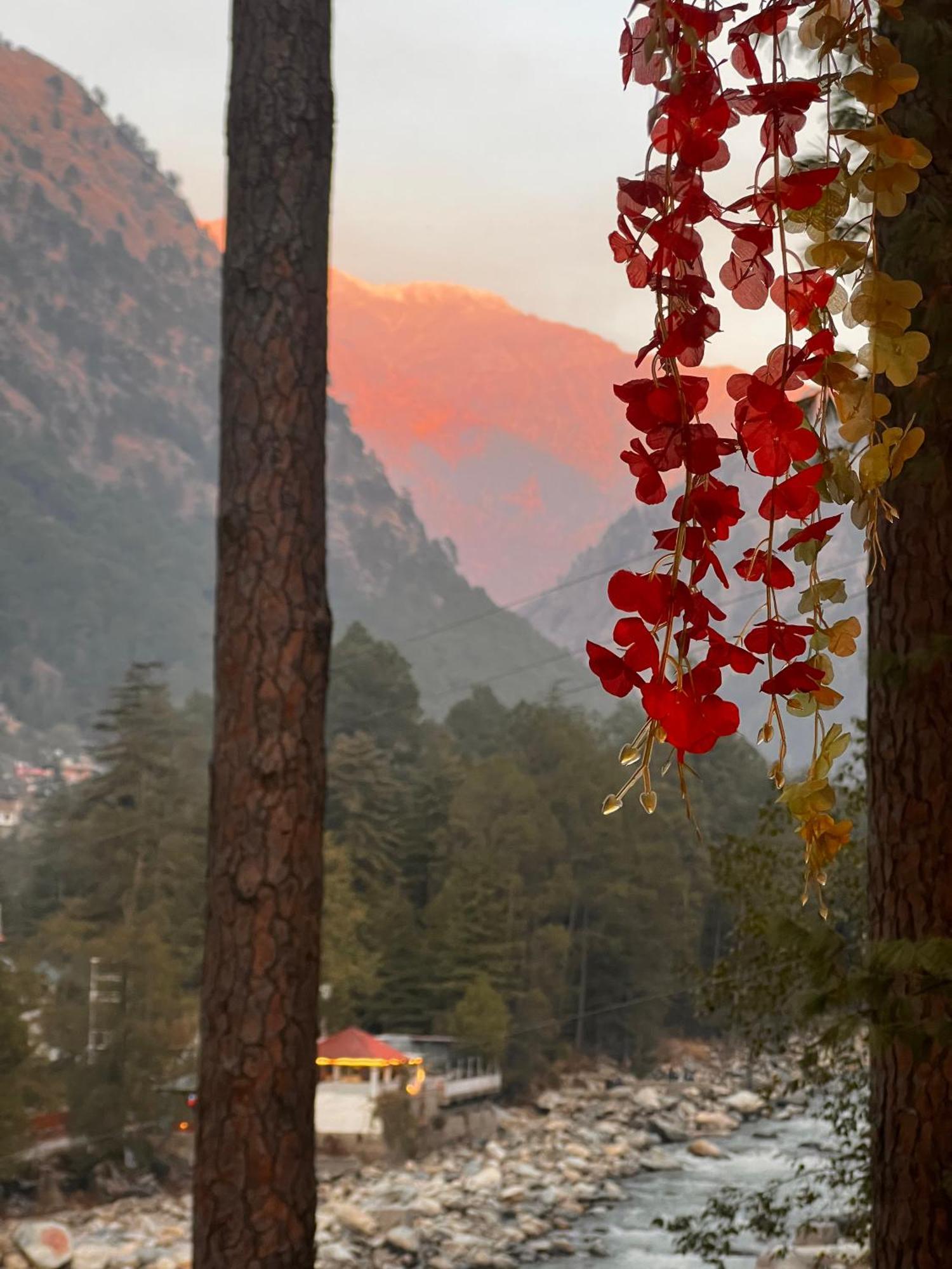Ahava Kasol Riverside Cafe And Cottages Extérieur photo